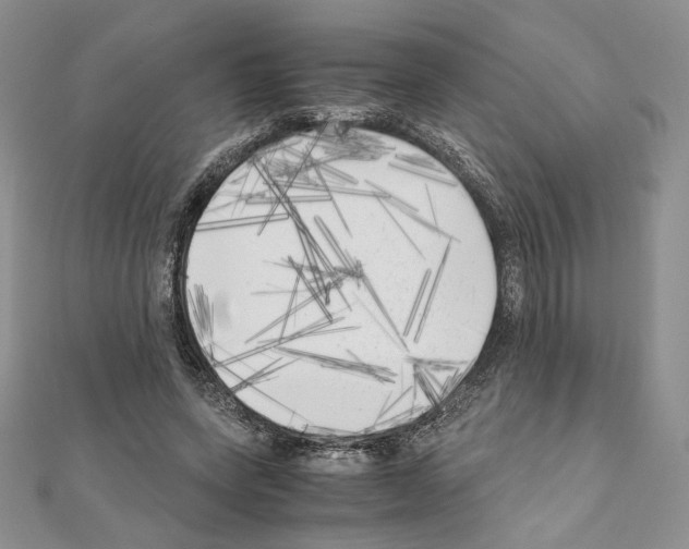 X0000111010543200907311053