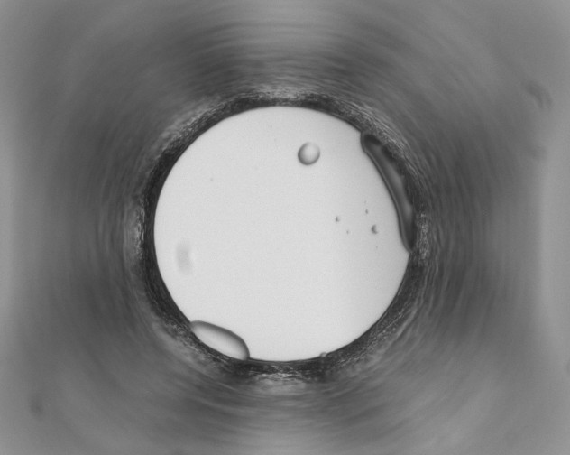 X0000111010544200907311053