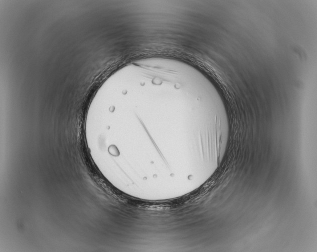 X0000111010546200907311053