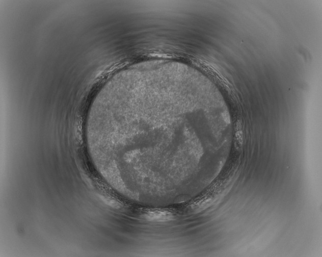 X0000111010547200907311053
