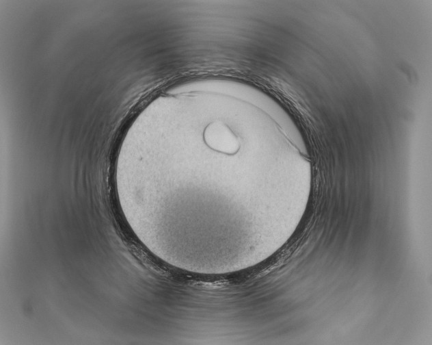 X0000111010548200907311053