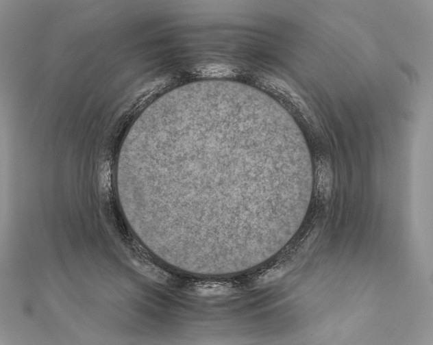 X0000111010549200907311053