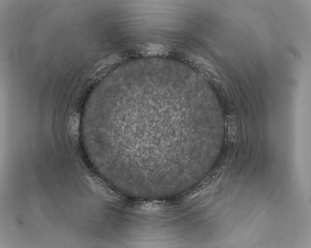 X0000111010550200907311053