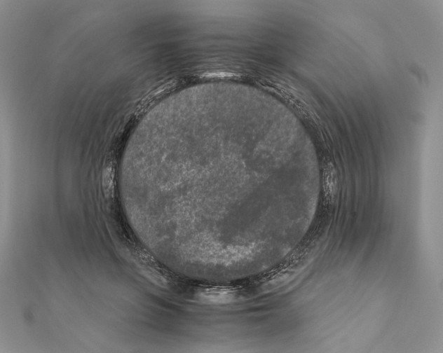X0000111010551200907311054