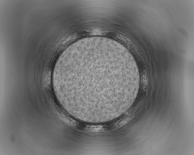 X0000111010554200907311054