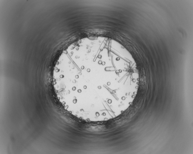 X0000111010555200907311054