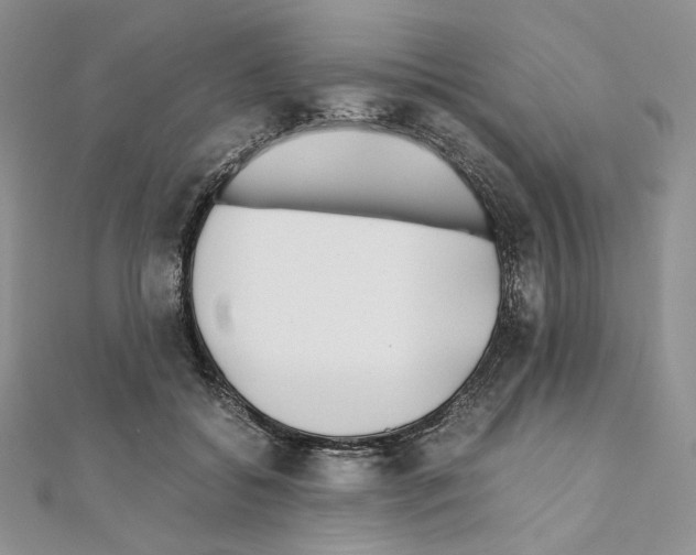 X0000111010556200907311054
