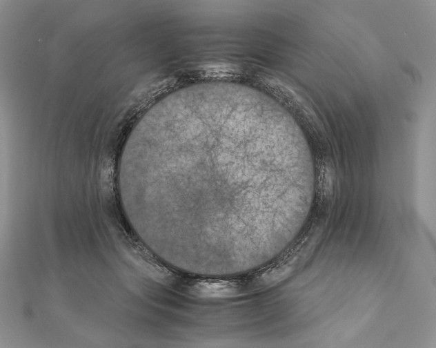 X0000111010557200907311054