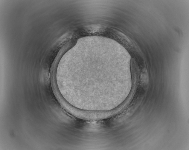 X0000111010558200907311054