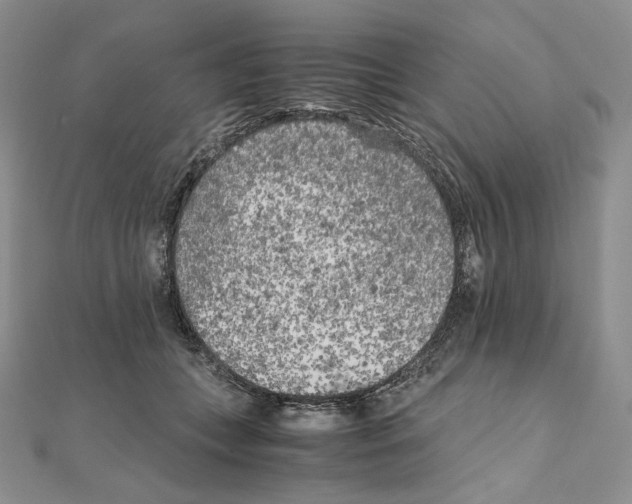 X0000111010559200907311054