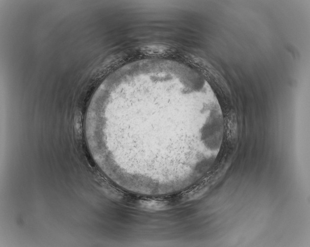 X0000111010561200907311054