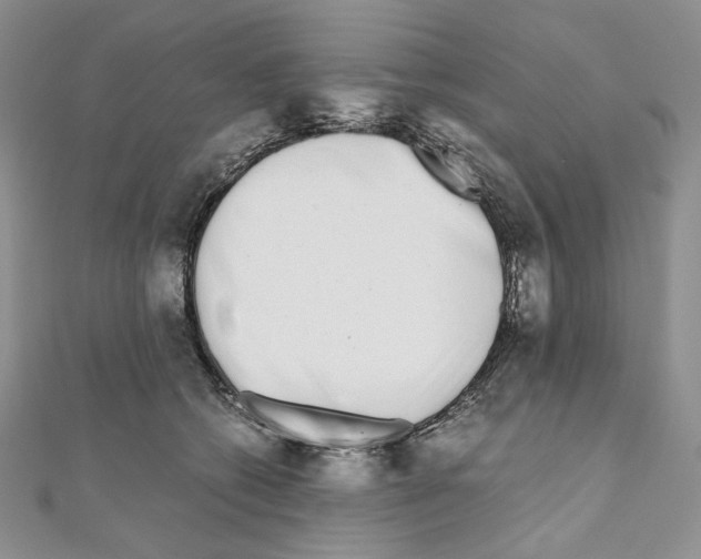 X0000111010562200907311054