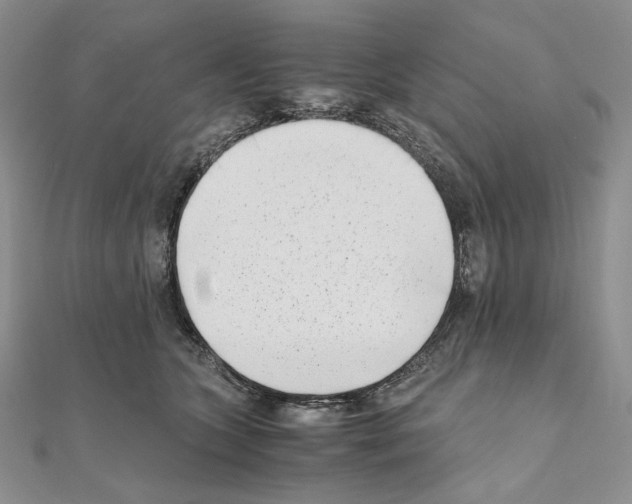 X0000111010563200907311054
