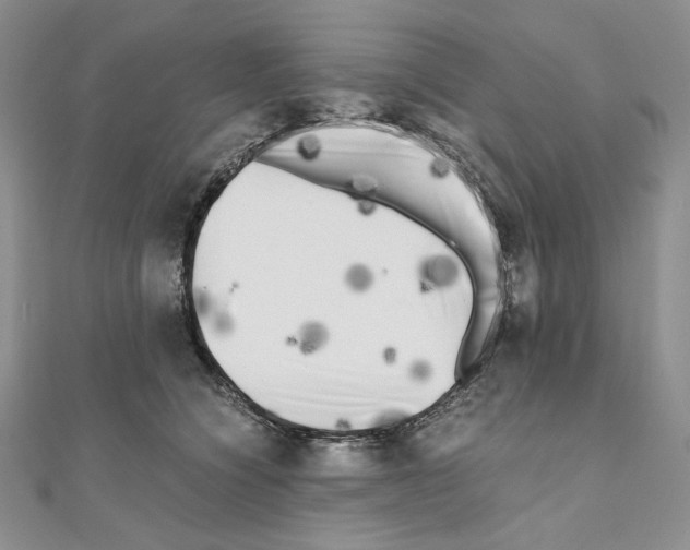 X0000111010564200907311054