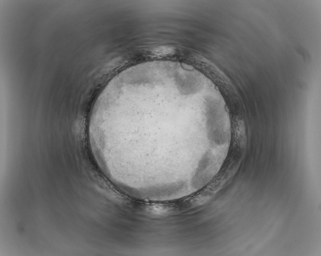 X0000111010565200907311054