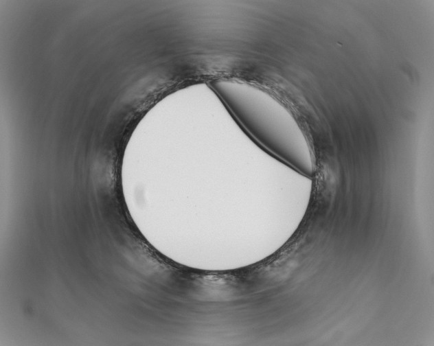 X0000111010566200907311054