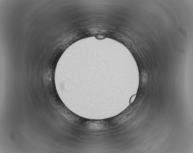 X0000111010567200907311054