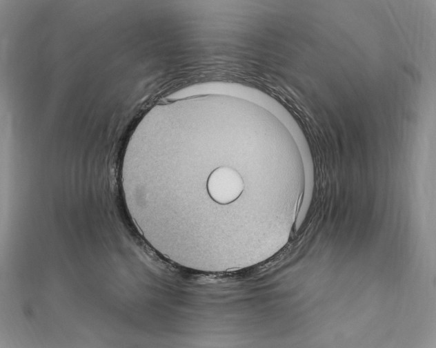 X0000111010568200907311054