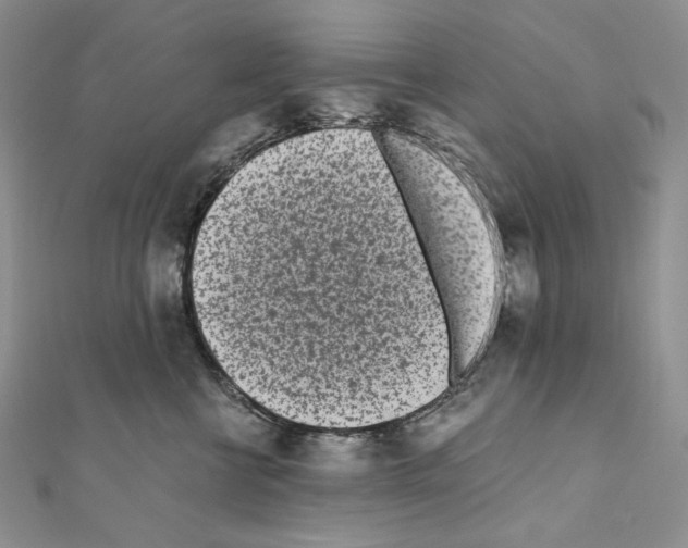 X0000111010570200907311054