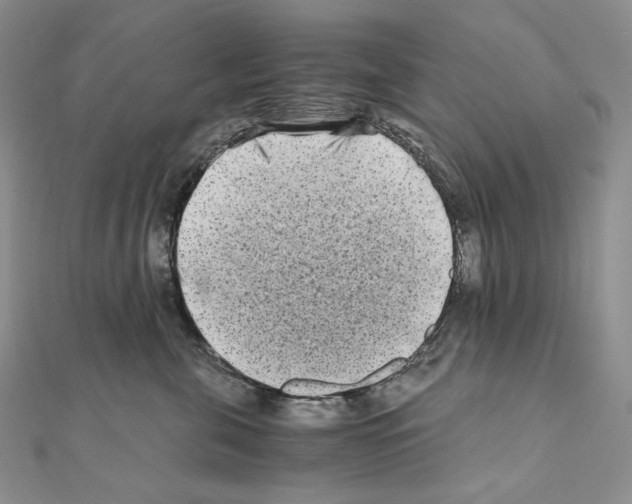 X0000111010571200907311054