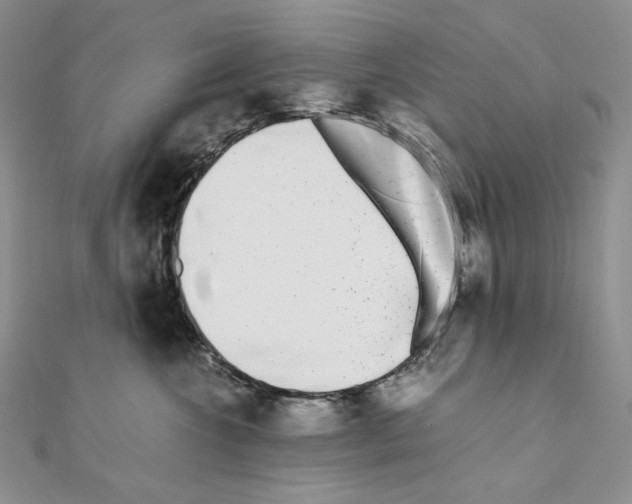 X0000111010572200907311054
