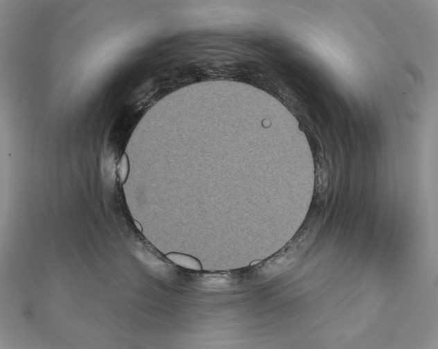 X0000111010574200907311054