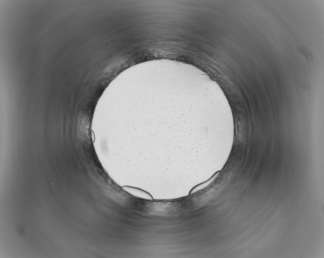 X0000111010575200907311054