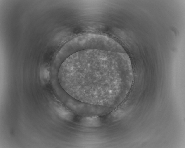 X0000111010576200907311054