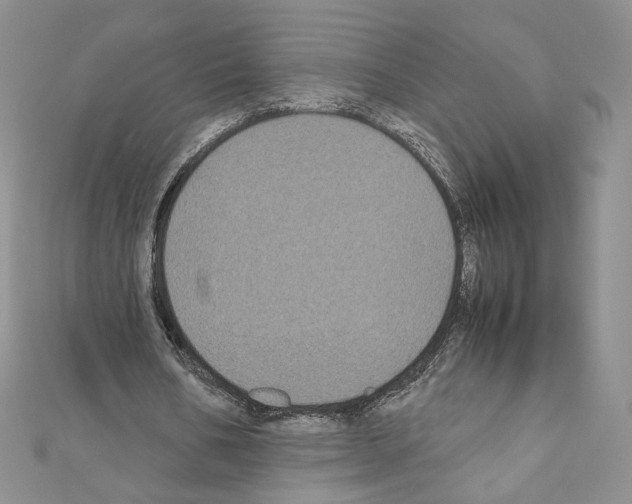 X0000111010578200907311053