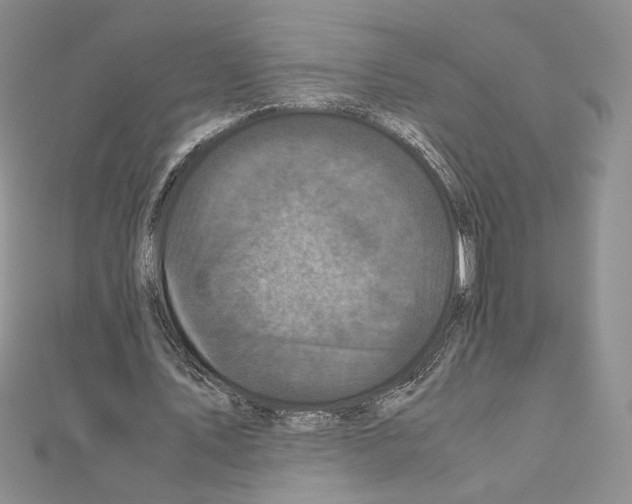 X0000111010579200907311053
