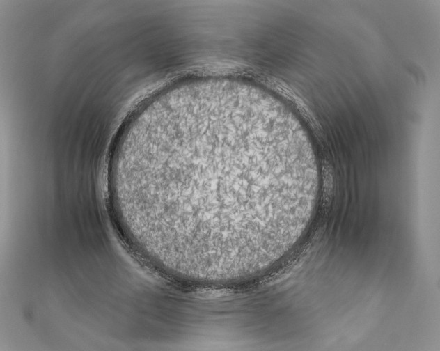 X0000111010582200907311053