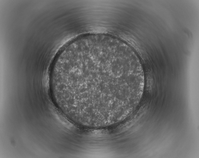 X0000111010584200907311053