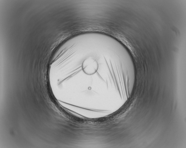 X0000111010585200907311053