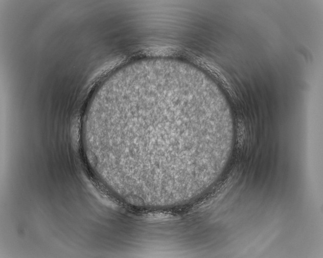 X0000111010586200907311053