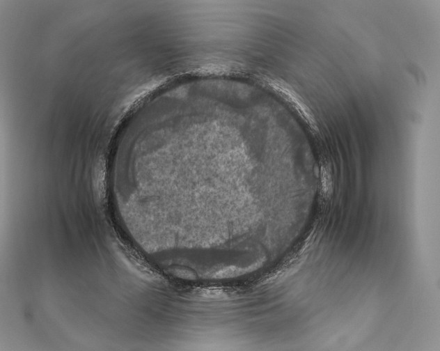 X0000111010588200907311053