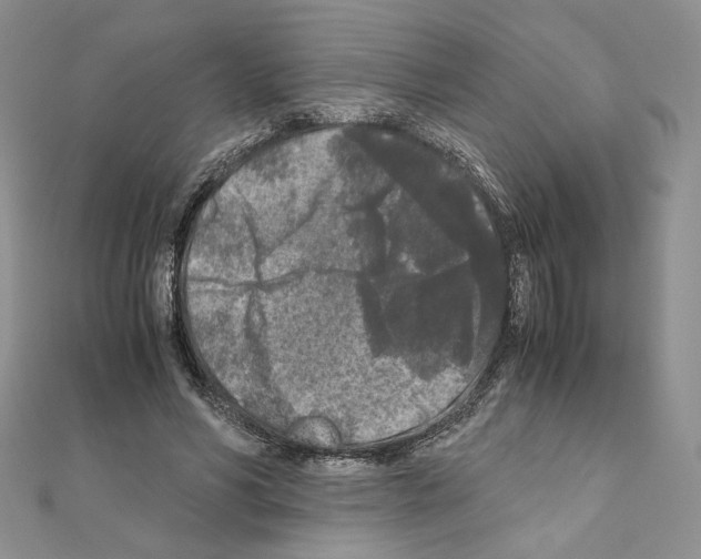 X0000111010590200907311053