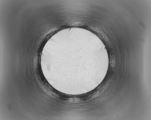 X0000111010591200907311053