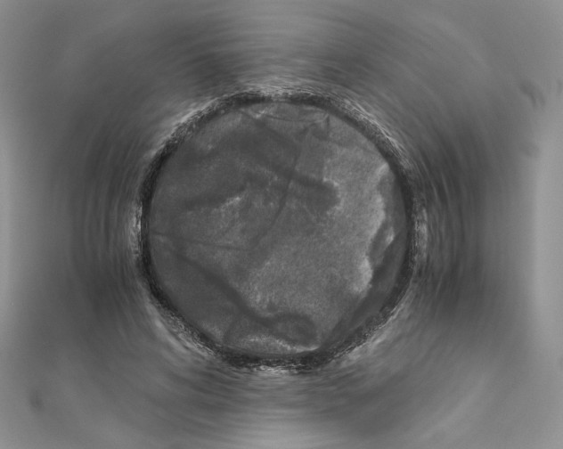 X0000111010592200907311053
