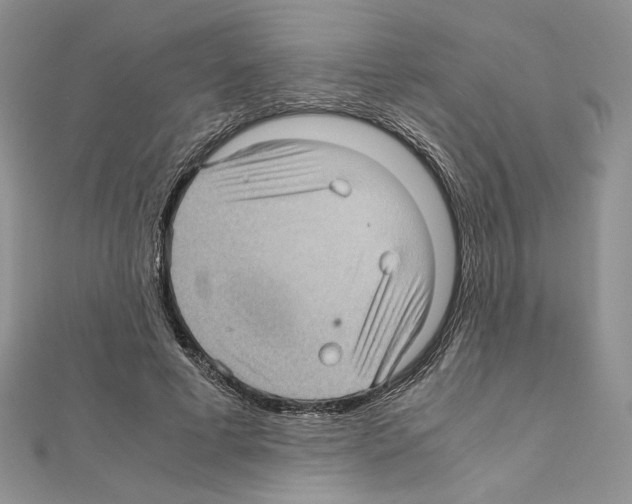X0000111010593200907311053