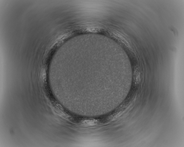X0000111010595200907311053