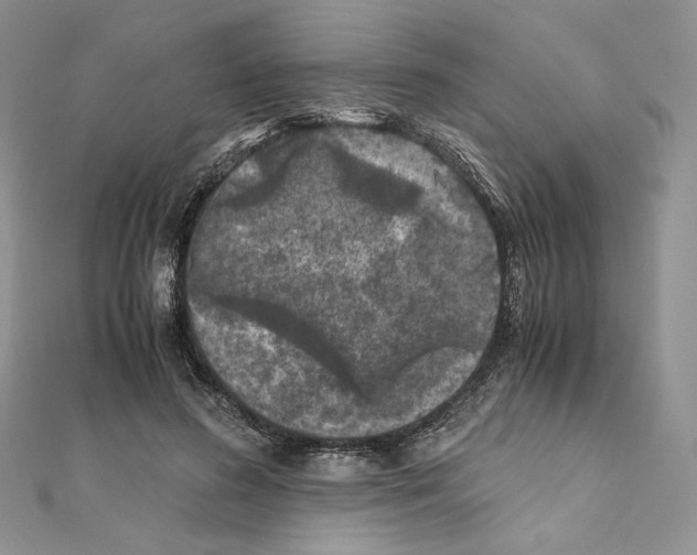 X0000111010596200907311053