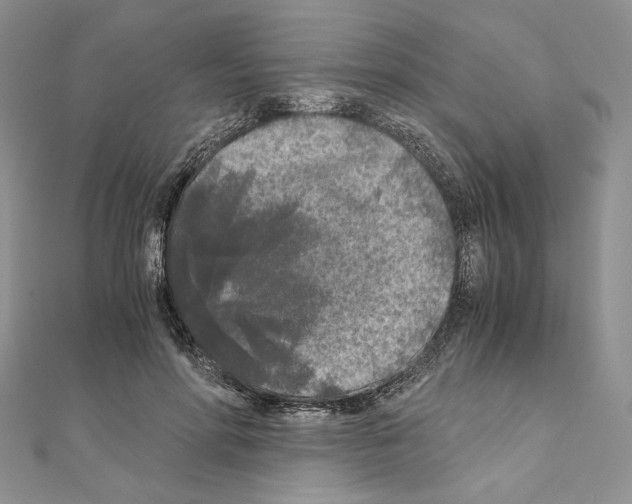X0000111010598200907311053