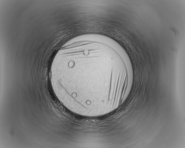 X0000111010599200907311053