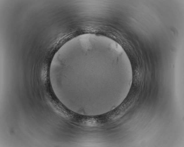 X0000111010600200907311053
