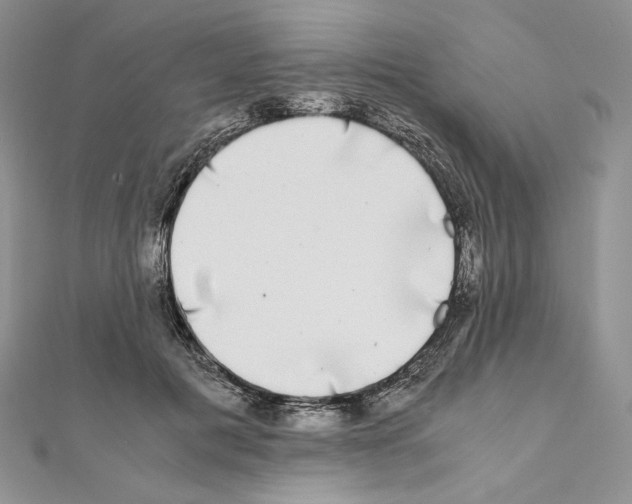 X0000111010601200907311053