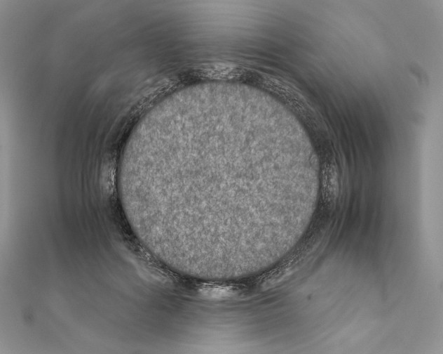 X0000111010602200907311053