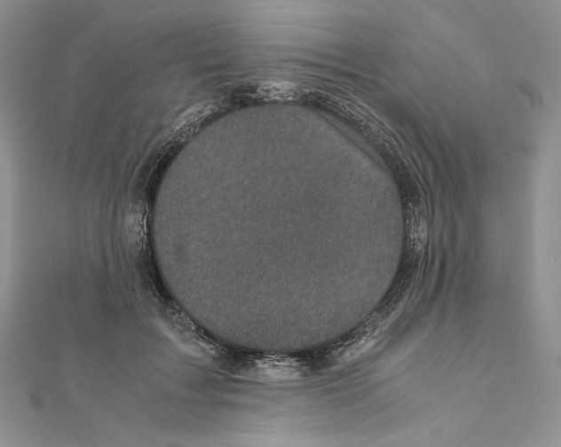 X0000111010603200907311053