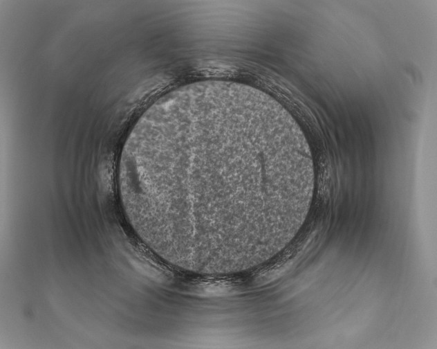 X0000111010604200907311053
