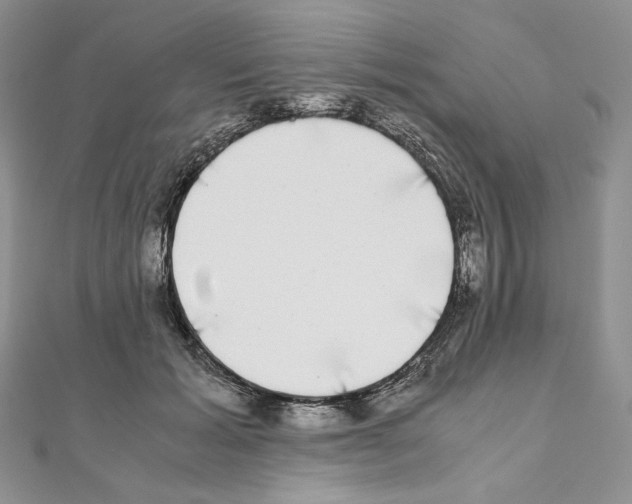 X0000111010605200907311053