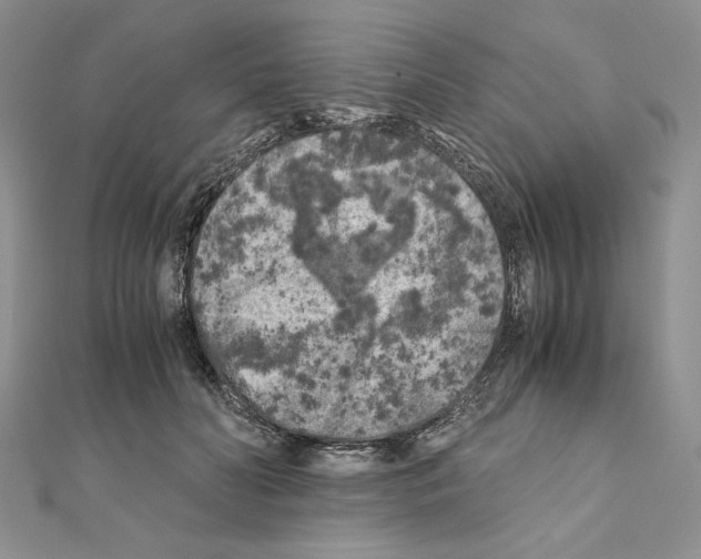 X0000111010606200907311053